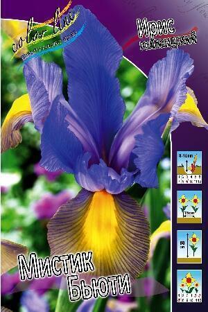 Купить оптом в Ботанике Ирис голл. Мистик Бьюти 10шт