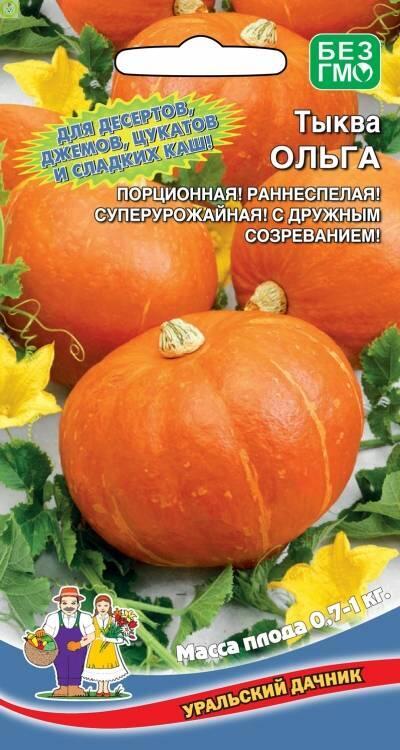 Купить оптом в Ботанике семена Тыква Ольга УД бренд Уральский дачник