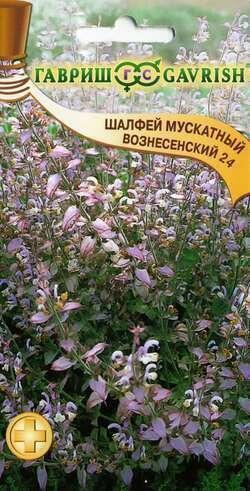 Купить оптом в Ботанике семена Шалфей Вознесенский мускатный Гав бренд Гавриш