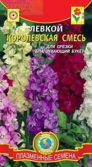 Купить оптом в Ботанике семена Левкой Королевская смесь Плз бренд Плазмас