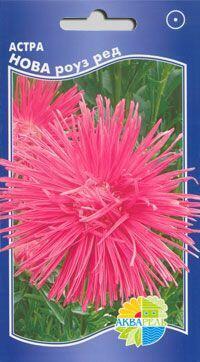Купить оптом в Ботанике семена Астра Нова роуз ред Акв бренд Акварель
