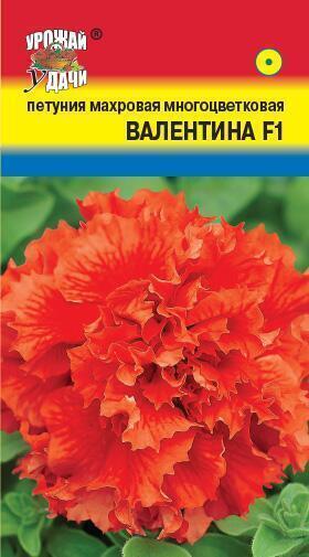 Купить оптом в Ботанике семена Петуния Валентина F1 УУ бренд Урожай Удачи