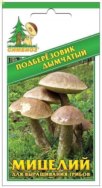Купить оптом в Ботанике семена Подберезовик дымчатый Сим бренд НПМЛ СИМБИОЗ