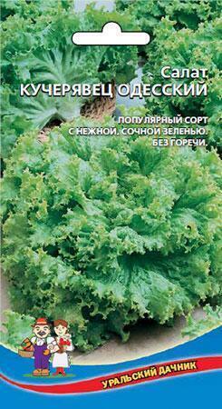 Купить оптом в Ботанике семена Салат Кучерявец Одесский УД бренд Уральский дачник