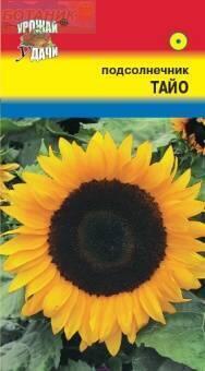 Купить оптом в Ботанике семена Подсолнечник Тайо УУ бренд Урожай Удачи