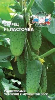 Купить оптом в Ботанике семена Огурец Ласточка F1 Сед бренд СеДеК
