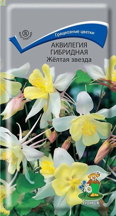 Купить оптом в Ботанике семена Аквилегия Жёлтая звезда гибридная Поиск бренд Поиск
