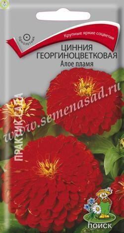 Купить оптом в Ботанике семена Цинния Алое пламя Поиск бренд Поиск