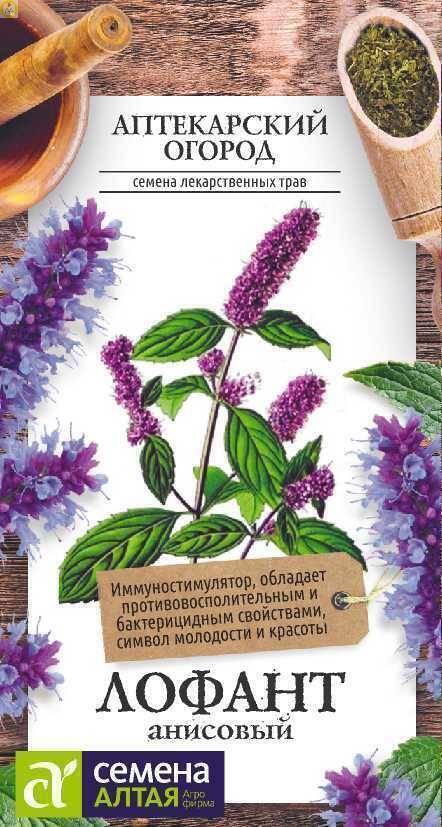 Купить оптом в Ботанике семена Лофант Анисовый СА бренд Семена Алтая