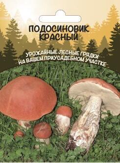 Купить оптом в Ботанике семена Грибы Подосиновик Красный УД бренд Уральский дачник