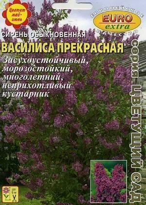 Купить оптом в Ботанике семена Сирень Василиса прекрасная обыкновенная Аэл бренд Аэлита