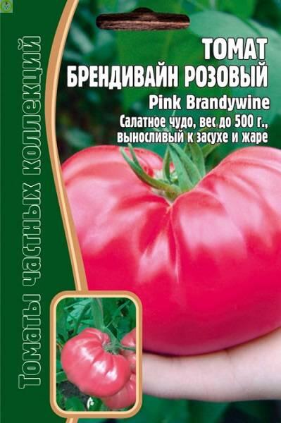 Купить оптом в Ботанике семена Томат Брендивайн розовый Реш бренд Решение, ООО