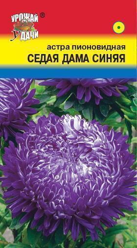 Купить оптом в Ботанике семена Астра Седая дама синяя УУ бренд Урожай Удачи