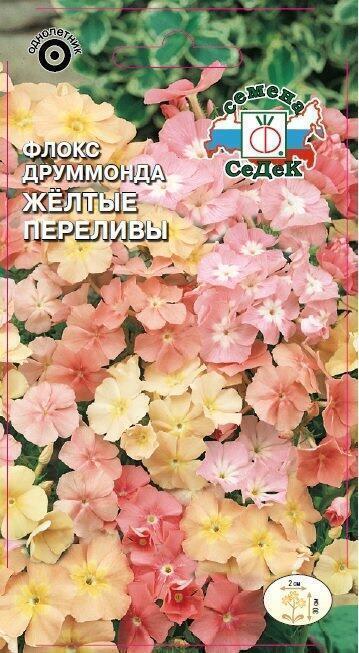 Купить оптом в Ботанике семена Флокс Желтые переливы друммонда Сед бренд СеДеК