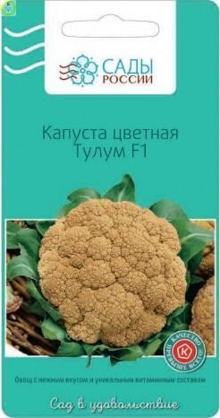 Купить оптом в Ботанике семена Капуста цветная Тулум жёлтая  СиО бренд Сад и огород