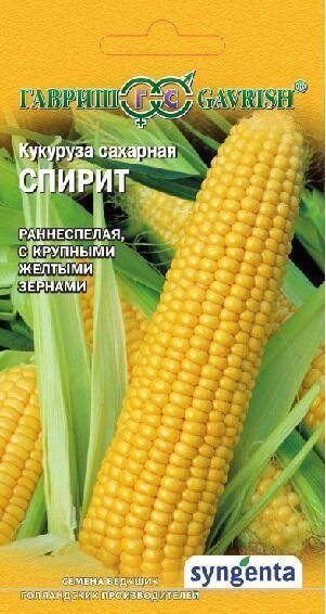 Купить оптом в Ботанике семена Кукуруза Спирит сахарная (Голландия) Гав бренд Гавриш