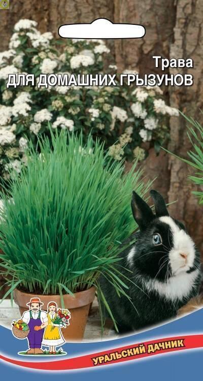 Купить оптом в Ботанике семена Трава Для Домашних Грызунов УД бренд Уральский дачник