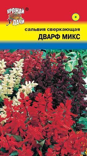 Купить оптом в Ботанике семена Сальвия Дварф микс УУ бренд Урожай Удачи