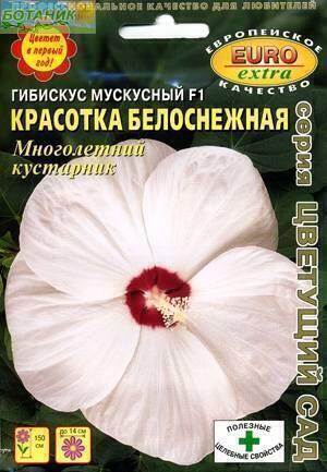 Купить оптом в Ботанике семена Гибискус Красотка белоснежная Аэл бренд Аэлита