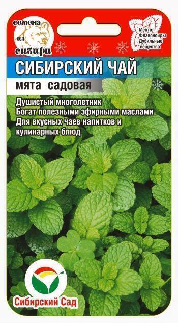 Купить оптом в Ботанике семена Мята Сибирский Чай СС бренд Сиб.сад