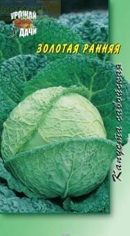 Купить оптом в Ботанике семена Капуста савойская Золотая ранняя УУ бренд Урожай Удачи