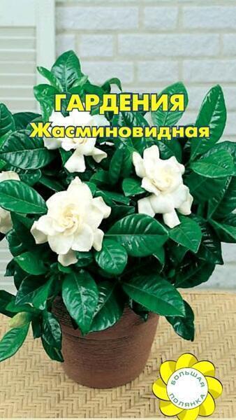Купить оптом в Ботанике семена Гардения Жасминовая УУ бренд Урожай Удачи
