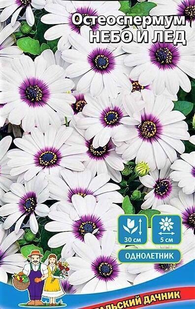 Купить оптом в Ботанике семена Остеоспермум Небо и Лёд УД бренд Уральский дачник