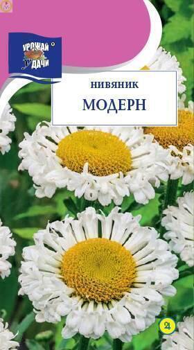 Купить оптом в Ботанике семена Нивяник Модерн УУ бренд Урожай Удачи