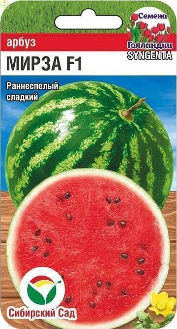 Купить оптом в Ботанике семена Арбуз Мирза СС бренд Сиб.сад