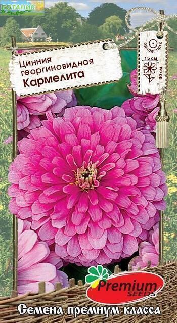 Купить оптом в Ботанике семена Цинния Кармелита ПС бренд Премиум Сидс