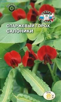 Купить оптом в Ботанике семена Спаржевый горох Салоники Сед бренд СеДеК