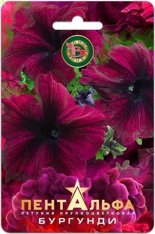Купить оптом в Ботанике семена Петуния Пентальфа Бургунди F1 Био бренд Биотехника