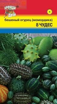 Купить оптом в Ботанике семена Бешенный огурец (Момордика)* УУ бренд Урожай Удачи