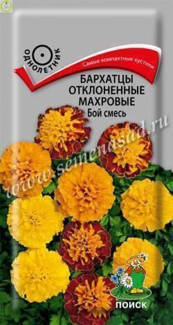 Купить оптом в Ботанике семена Бархатцы Бой смесь отклоненные Поиск бренд Поиск