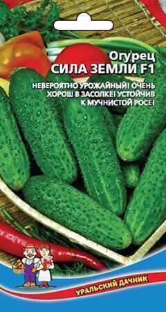 Купить оптом в Ботанике семена Огурец Сила земли F1 УД бренд Уральский дачник