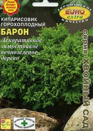 Купить оптом в Ботанике семена Кипарисовик Барон горохоплодный Аэл бренд Аэлита