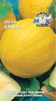 Купить оптом в Ботанике семена Дыня Алина Сед бренд СеДеК