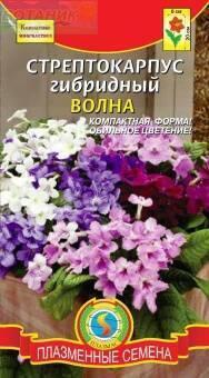 Купить оптом в Ботанике семена Стрептокарпус Волна смесь гибридный Плз бренд Плазмас