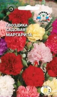 Купить оптом в Ботанике семена Гвоздика садовая Маргарита Сед бренд СеДеК