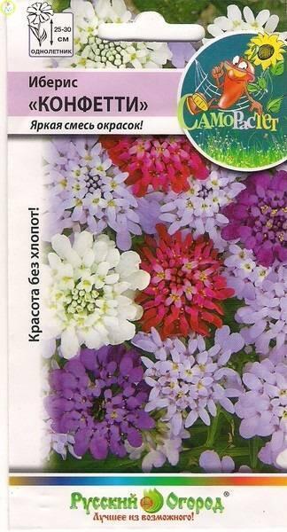 Купить оптом в Ботанике семена Иберис Конфетти смесь НК бренд НК