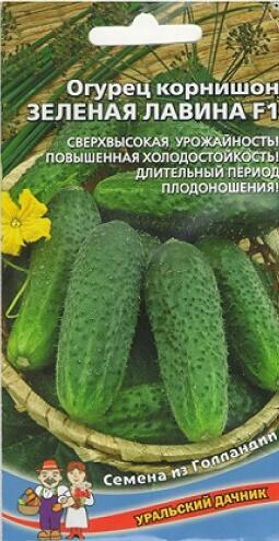 Купить оптом в Ботанике семена Огурец Зеленая лавина F1 УД бренд Уральский дачник