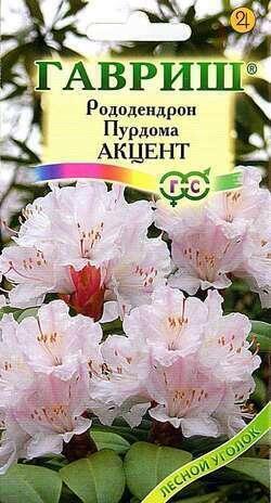 Купить оптом в Ботанике семена Рододендрон Пурдома Гав бренд Гавриш