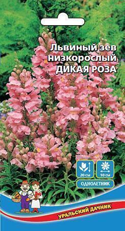 Купить оптом в Ботанике семена Львиный зев Дикая роза УД бренд Уральский дачник