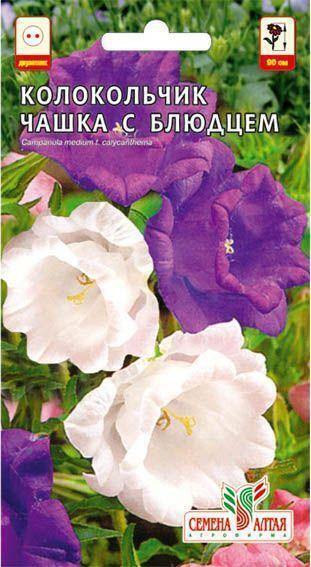 Купить оптом в Ботанике семена Колокольчик Чашка с блюдцем СА бренд Семена Алтая