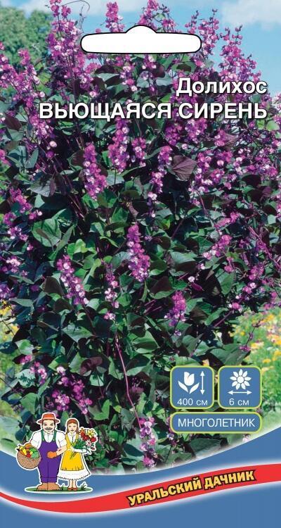 Купить оптом в Ботанике семена Долихос Вьющаяся сирень УД бренд Уральский дачник