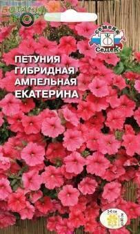 Купить оптом в Ботанике семена Петуния Екатерина F1 Сед бренд СеДеК