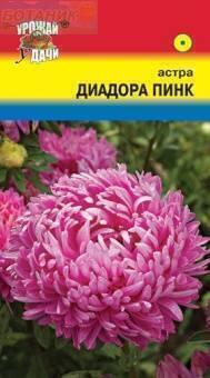 Купить оптом в Ботанике семена Астра Диадора пинк УУ бренд Урожай Удачи