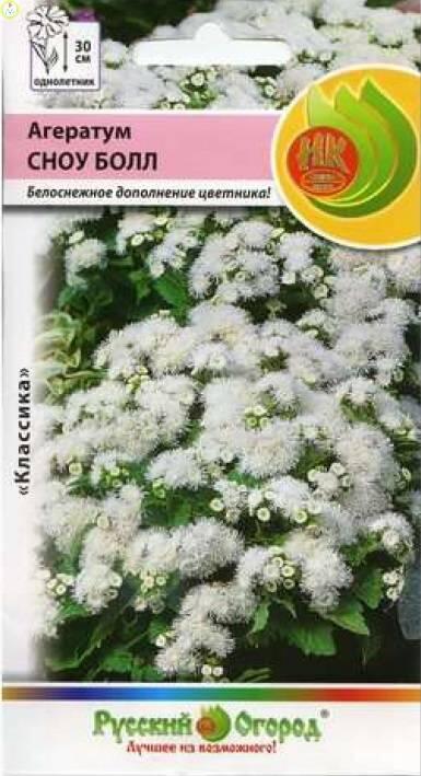 Купить оптом в Ботанике семена Агератум Сноу Болл НК бренд НК