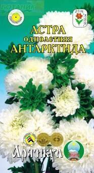 Купить оптом в Ботанике семена Астра Антарктида Арт бренд Артикул
