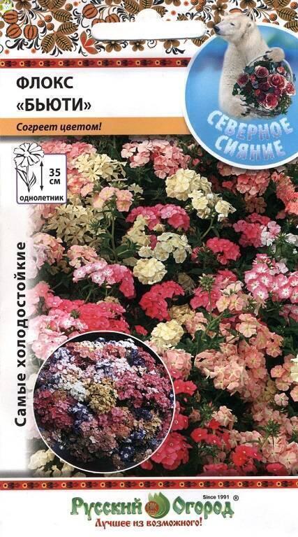 Купить оптом в Ботанике семена Флокс Бьюти специальная смесь НК бренд НК